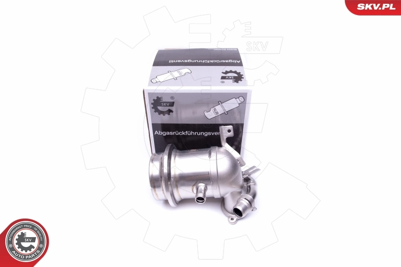 14SKV219 SKV