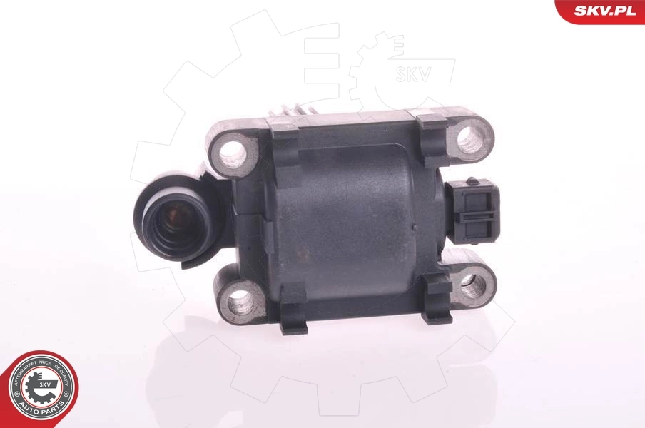 Bobina de chispa SKV 03SKV128 precio, desde 37,23 EUR