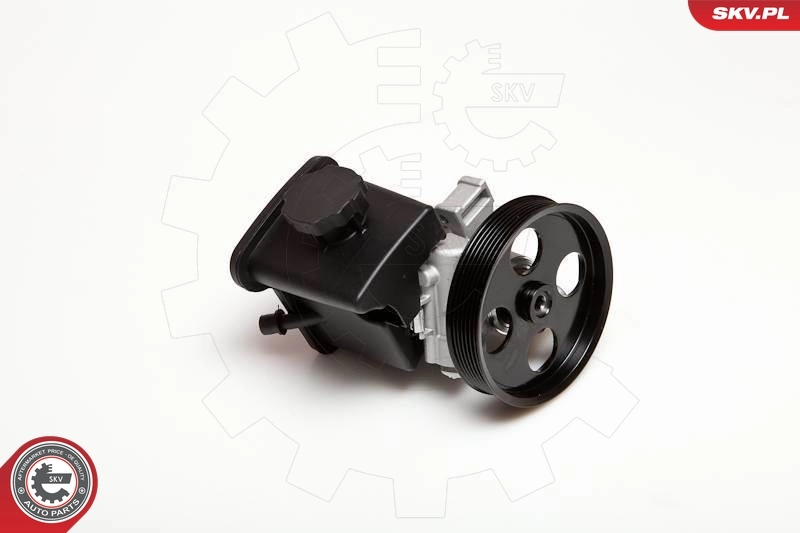 10SKV029 SKV