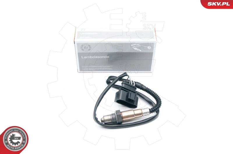 09SKV616 SKV