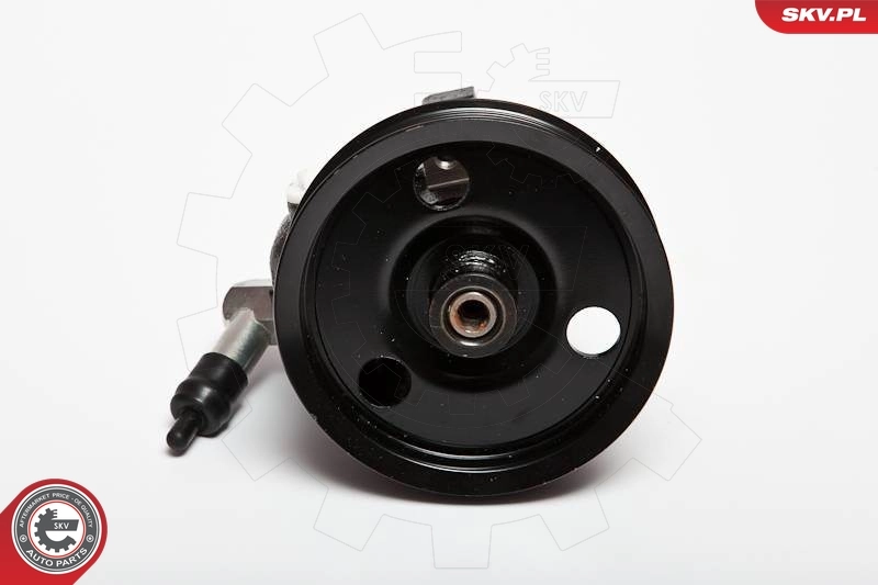 10SKV066 SKV