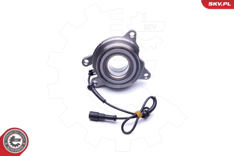 Cubo de rueda trasero 29SKV187 SKV