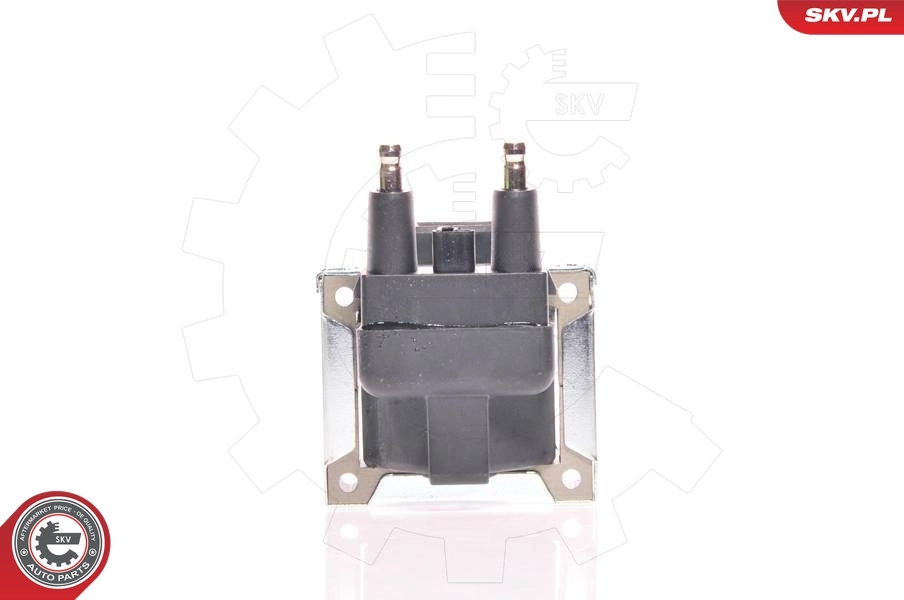 Bobina de encendido 21  sedán (1986-1994) original desde 30,35 €