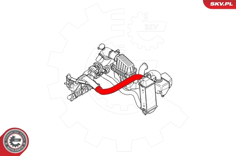 Manguera del intercooler SKV 24SKV795 precio, desde 40,34 EUR