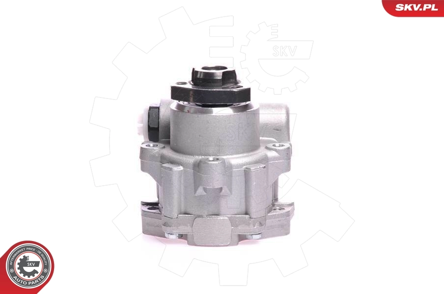 10SKV121 SKV