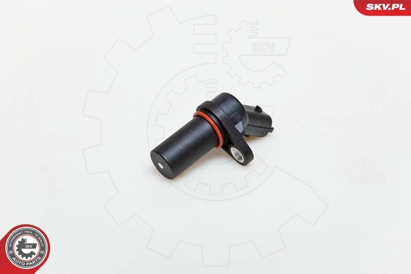 17SKV228 SKV