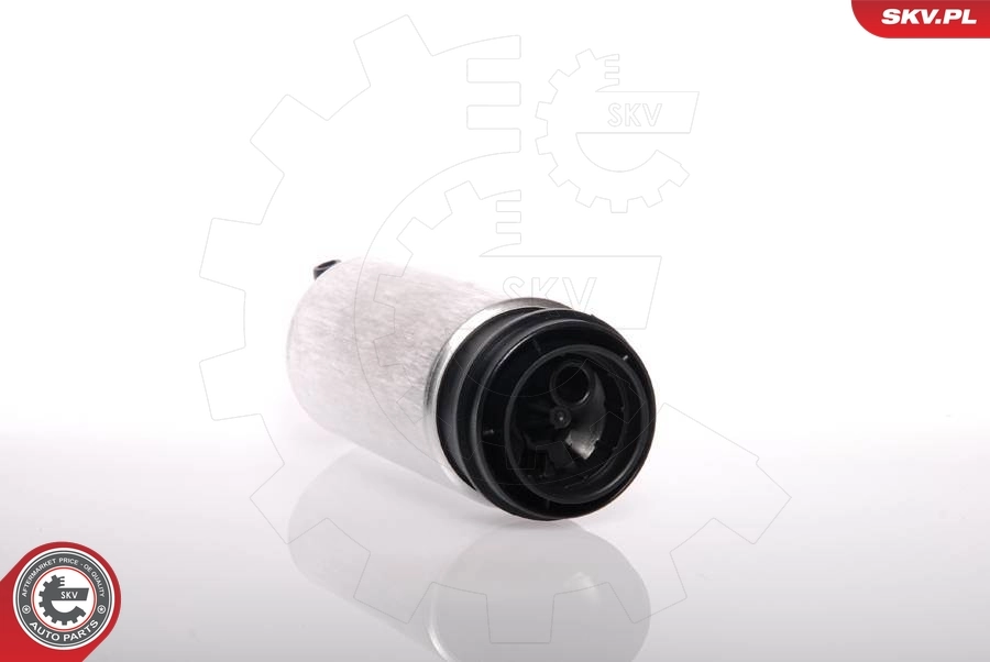 Módulo alimentación de combustible  SKV 02SKV242 precio, desde 51,00 EUR