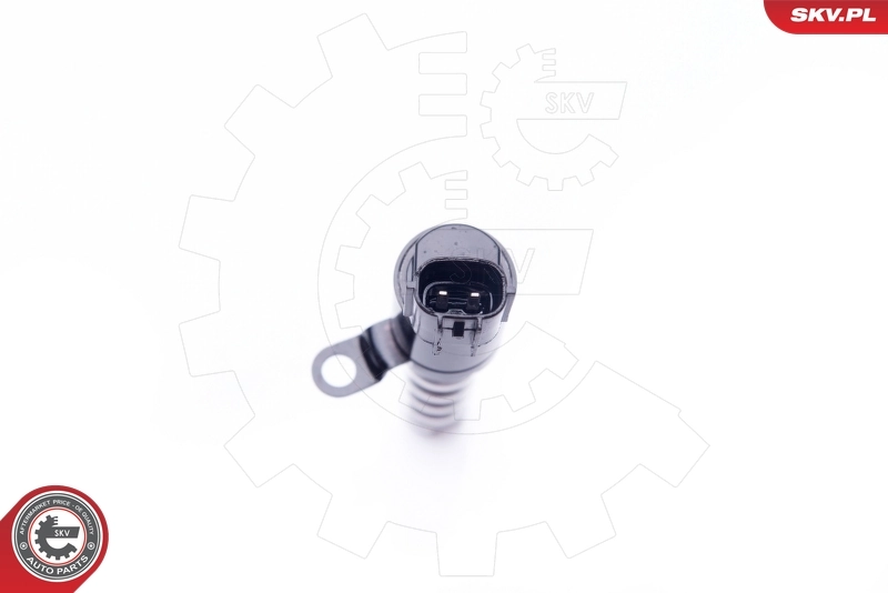 Válvula de control del árbol de levas 39SKV019 SKV