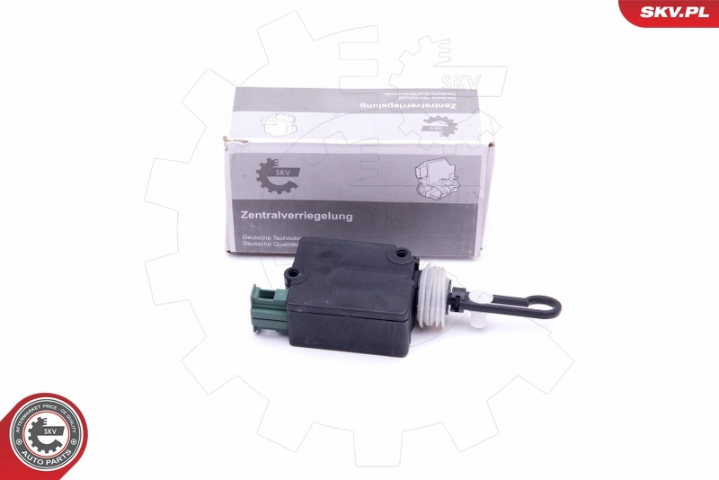 16SKV224 SKV
