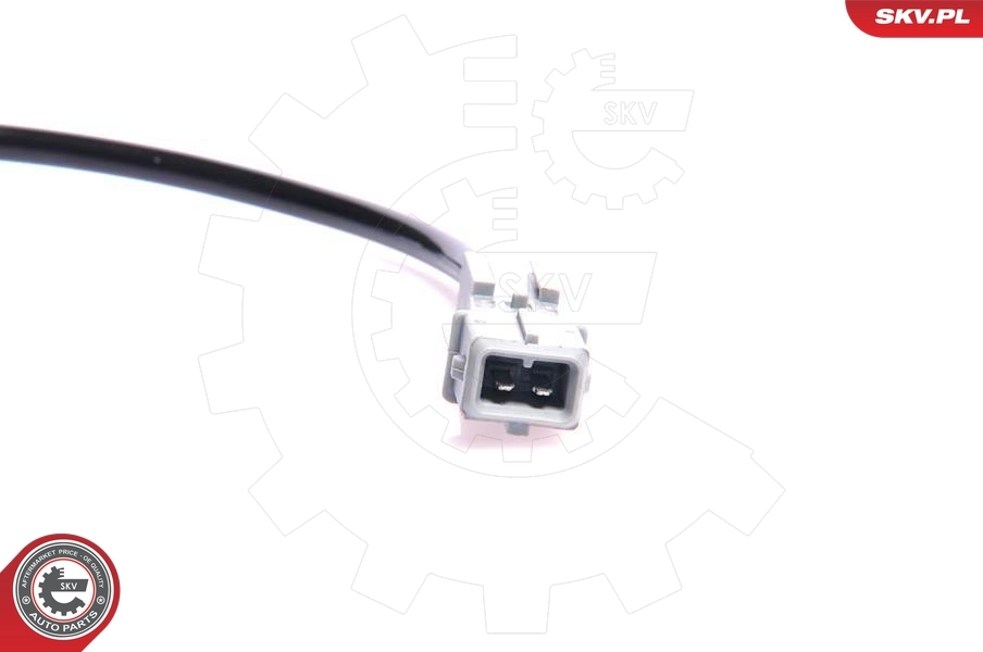 06SKV089 SKV