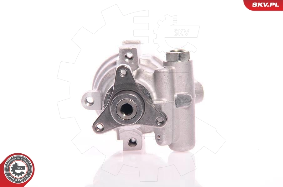 Bomba de dirección asistida  SKV 10SKV021 precio, desde 55,58 EUR