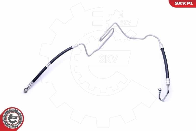 10SKV807 SKV