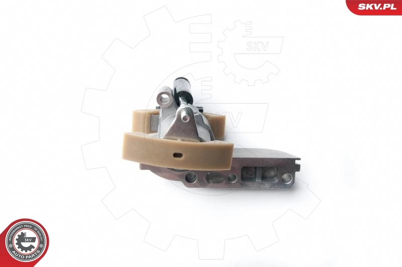 21SKV011 SKV