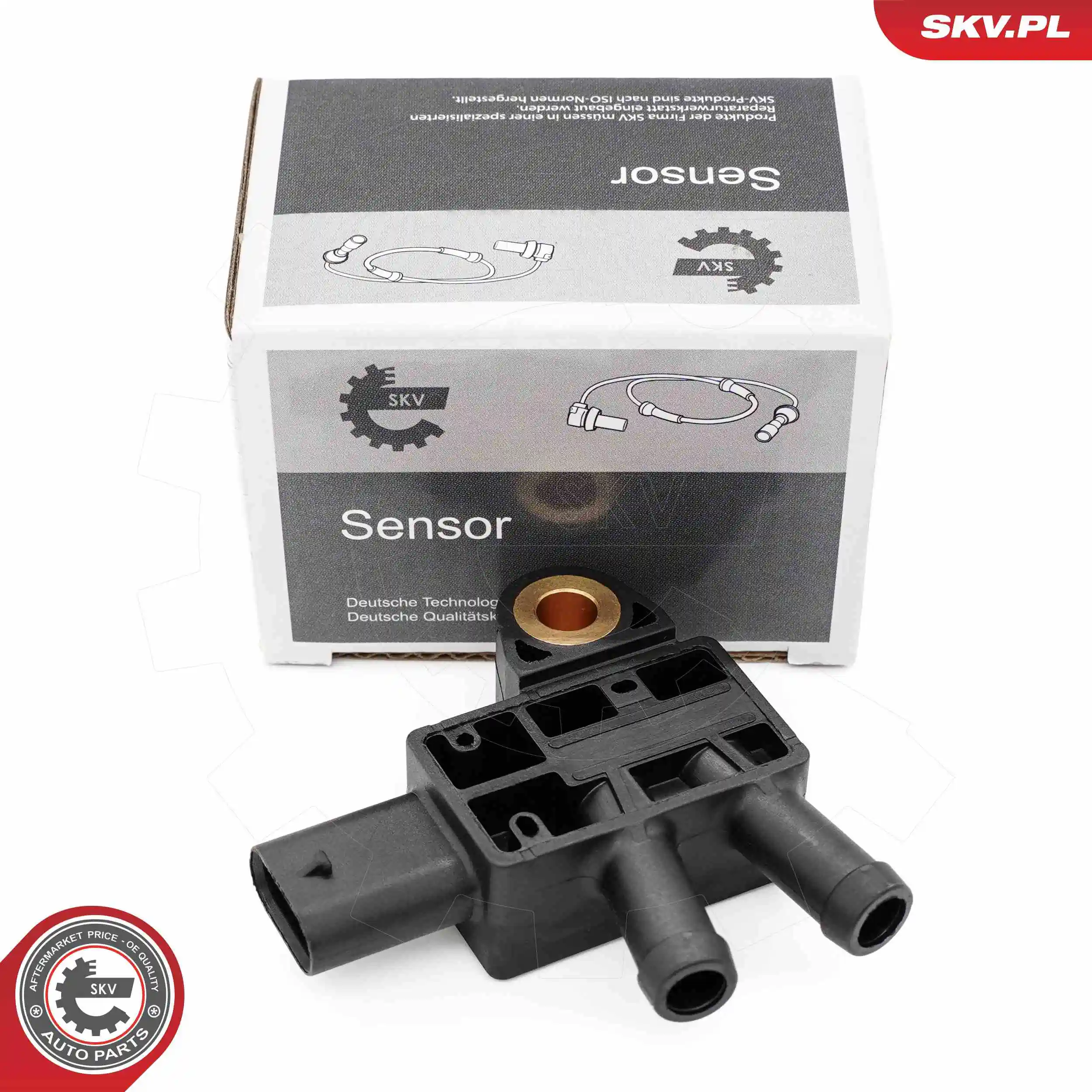17SKV876 SKV