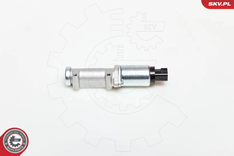 08SKV218 SKV