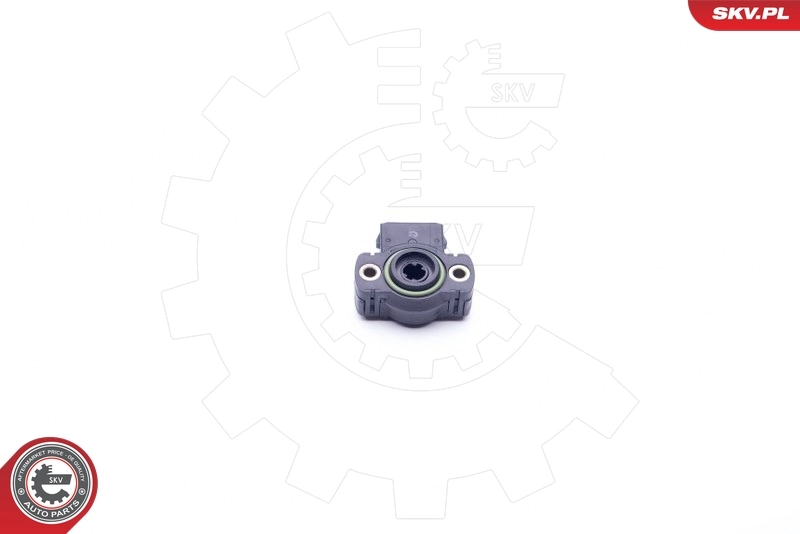 17SKV011 SKV Sensor de posición del acelerador