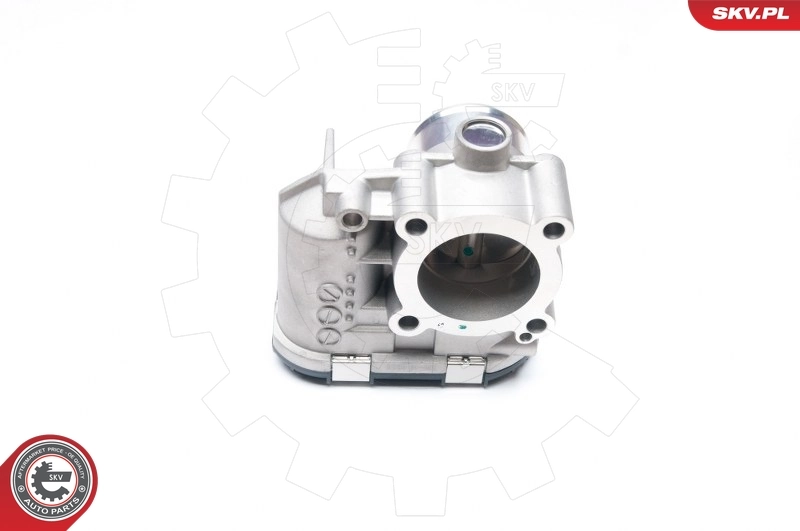 Comprar 12SKV043 SKV Cuerpo de mariposa