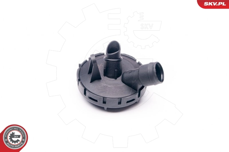 31SKV022 SKV