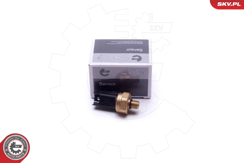 17SKV620 SKV