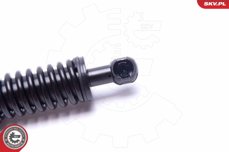 Amortiguador de maletero VAG 95551255006 precio, desde 31,09 EUR