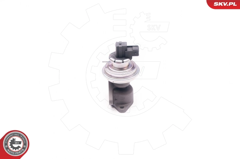 Comprar Válvula EGR Ford Transit IV E