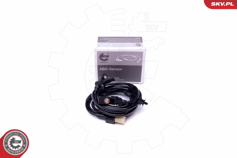 06SKV374 SKV
