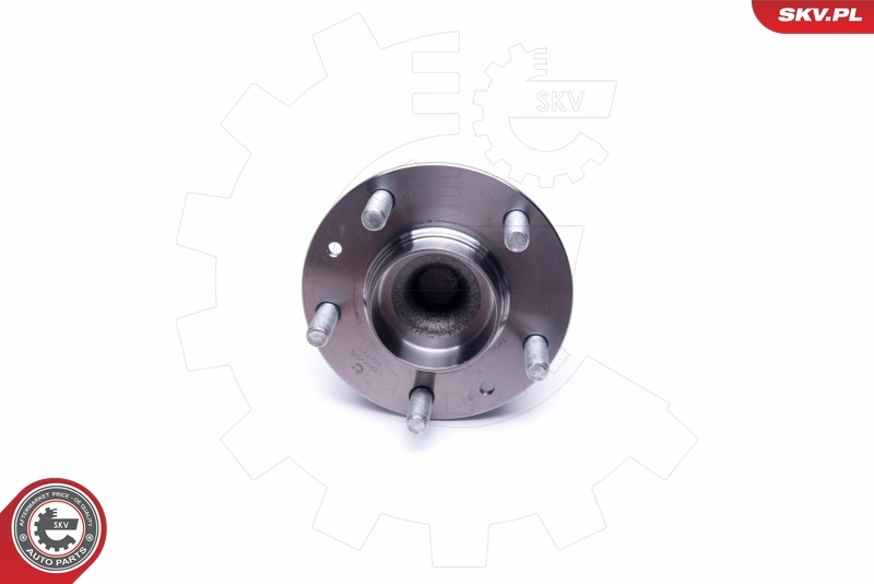 Comprar 29SKV379 SKV Cubo de rueda, Eje trasero