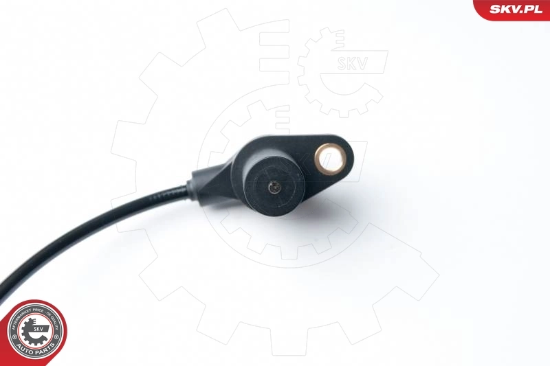 17SKV294 SKV