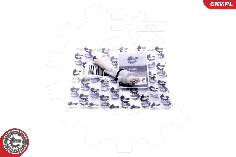 17SKV641 SKV
