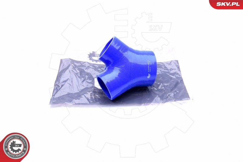 24SKV481 SKV