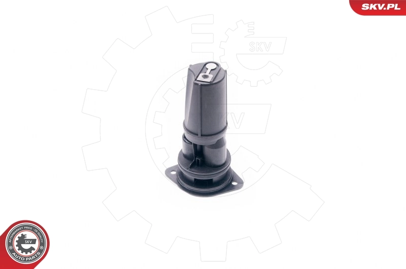 31SKV018 SKV