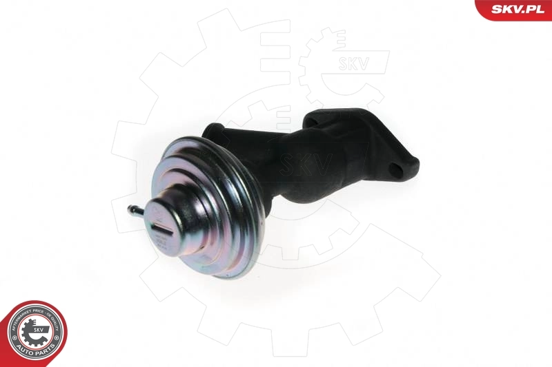 EGR para Citroen Xsara  (N1)