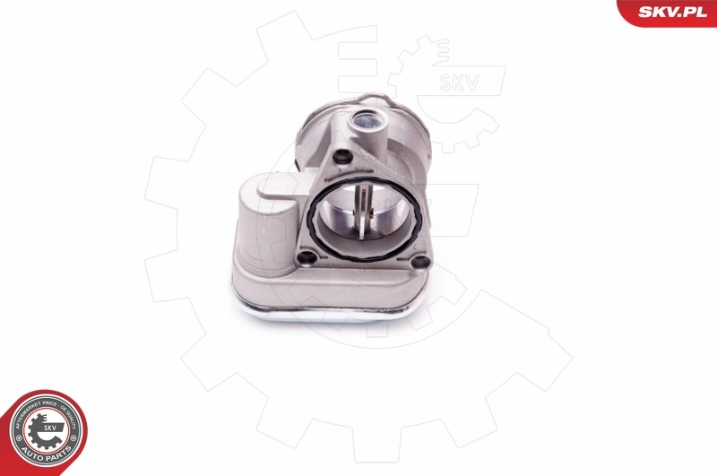 Cuerpo de aceleración completo SKV 12SKV055 precio, desde 115,71 EUR