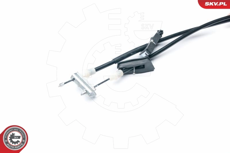 Comprar C-Max DM2