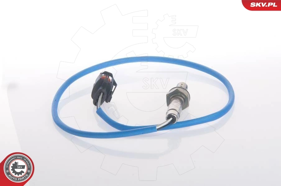 09SKV053 SKV
