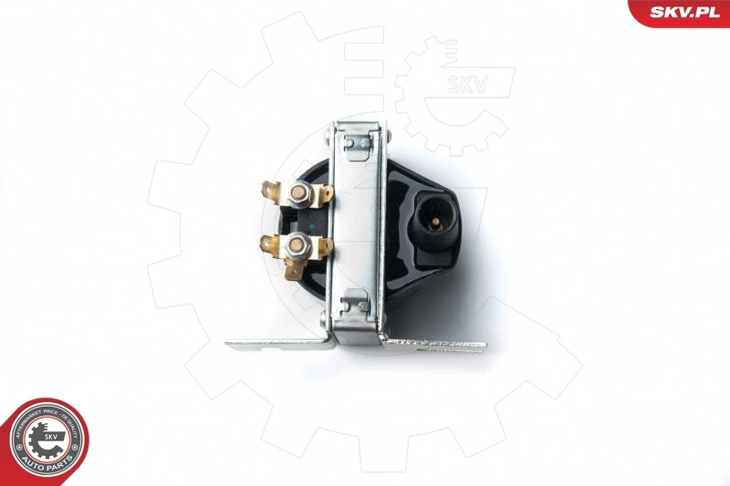 Bobina de chispa SKV 03SKV212 precio, desde 30,08 EUR