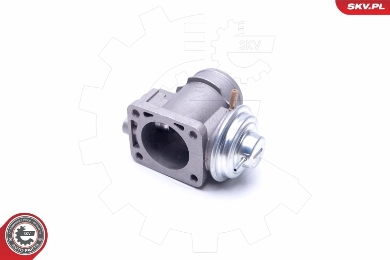 Comprar 14SKV174 SKV Válvula EGR