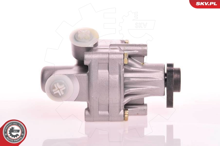 Bomba de dirección asistida  SKV 10SKV125 precio, desde 46,46 EUR