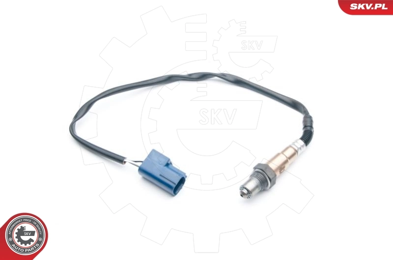 09SKV693 SKV
