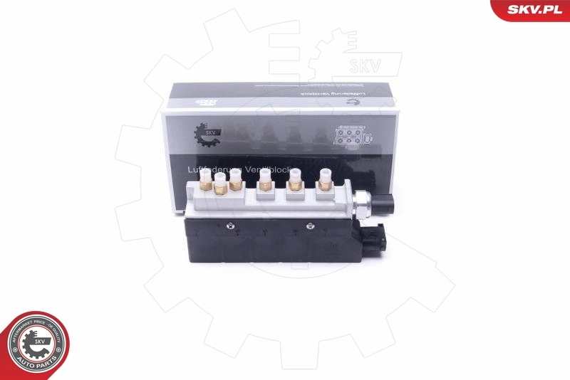 93SKV802 SKV