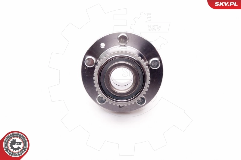 Comprar 29SKV036 SKV Cubo de rueda, Eje trasero