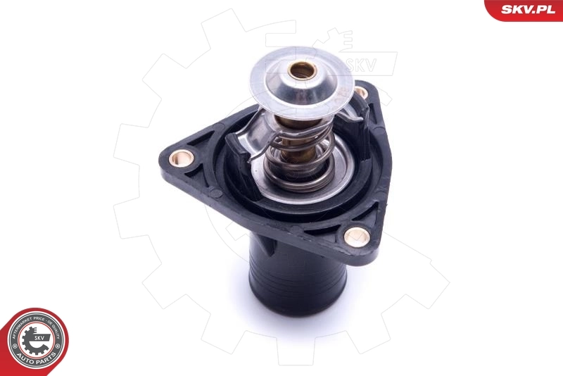 Termostato SKV 20SKV193 precio, desde 34,38 EUR