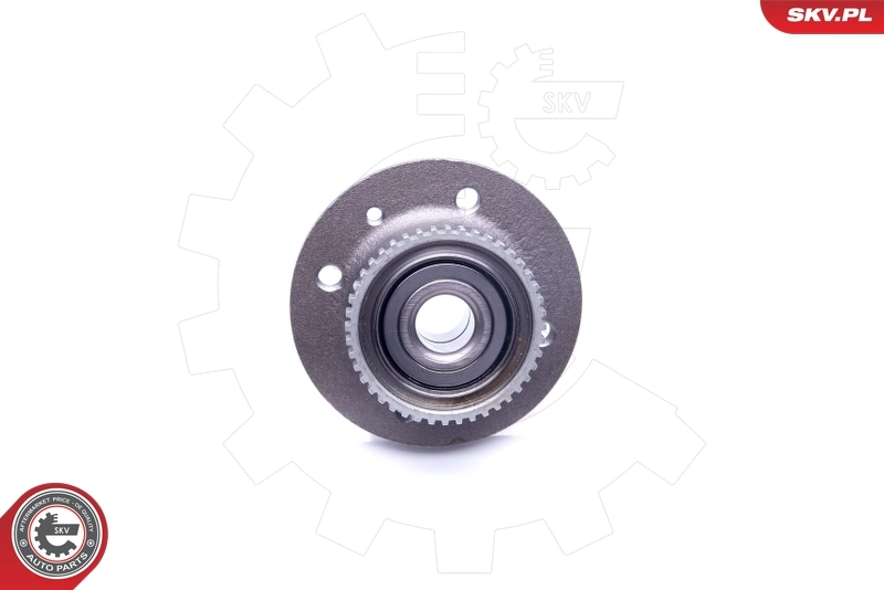 Comprar 29SKV214 SKV Cubo de rueda, Eje trasero