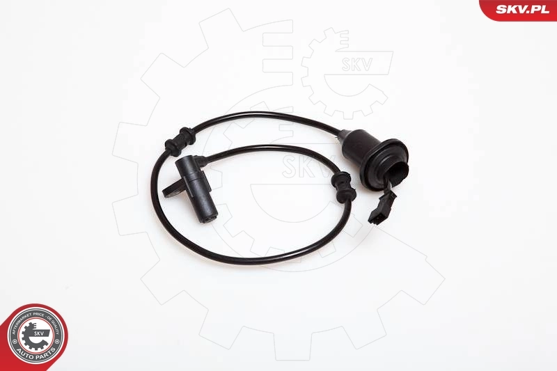 06SKV002 SKV