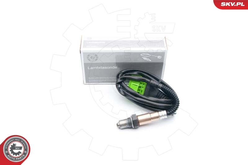 09SKV646 SKV