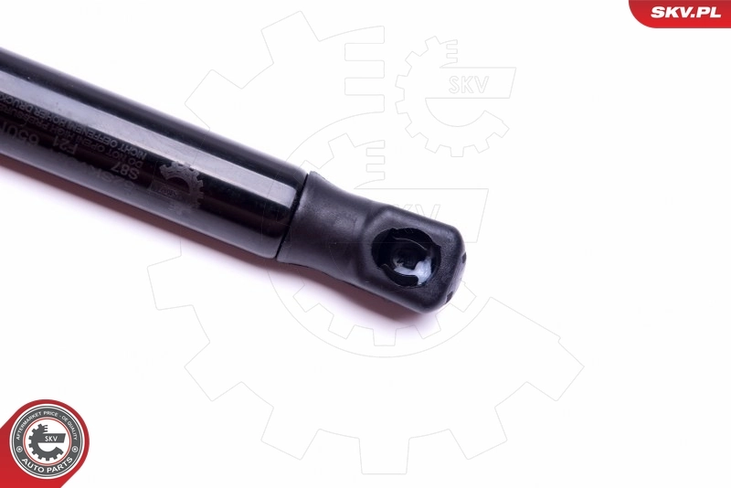 Amortiguador de maletero Audi A4 8E2