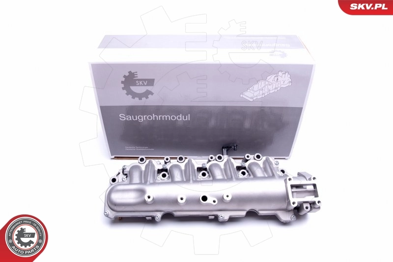 49SKV029 SKV