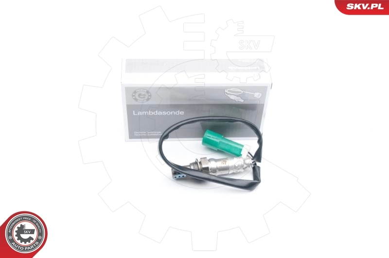 09SKV572 SKV