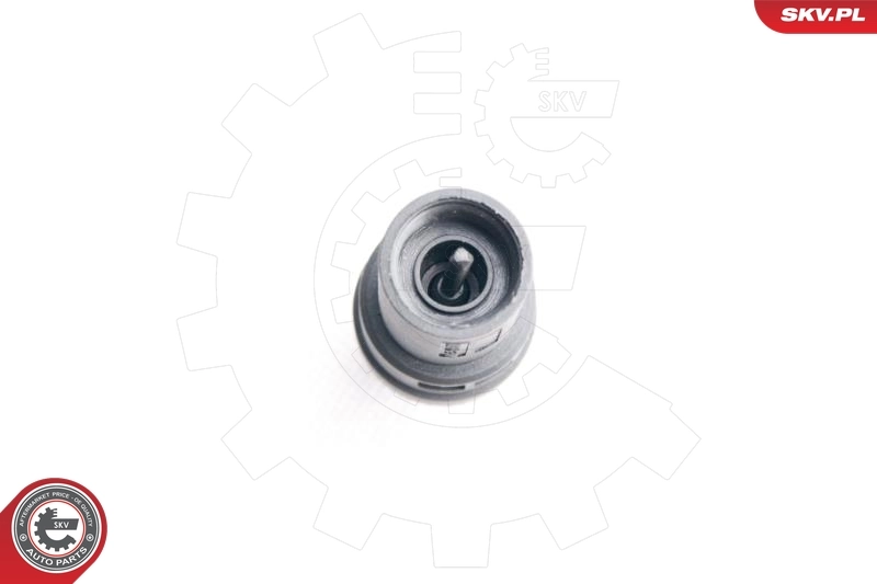 Sensor de velocidad 17SKV356 SKV