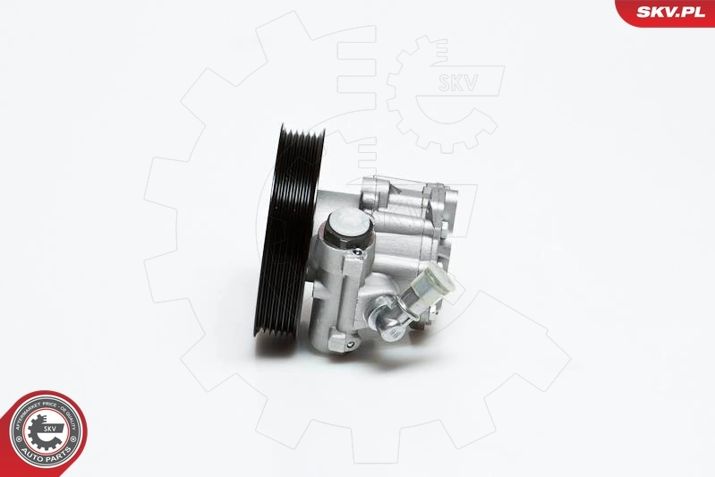 10SKV022 SKV